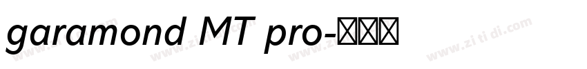 garamond MT pro字体转换